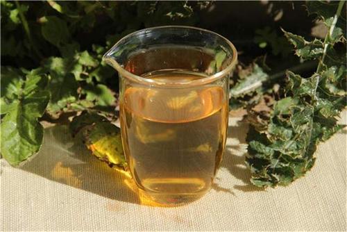 绿春玛玉茶