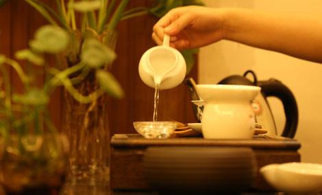 如何选择适合自己的茶