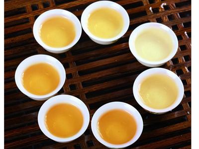 白芽奇兰是什么茶