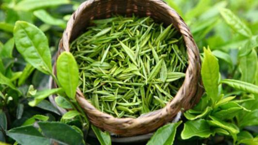 贵州什么茶叶比较有名