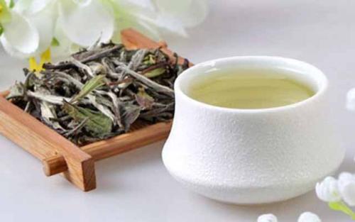 湿气重适合喝什么茶