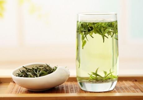 安吉白茶是什么茶