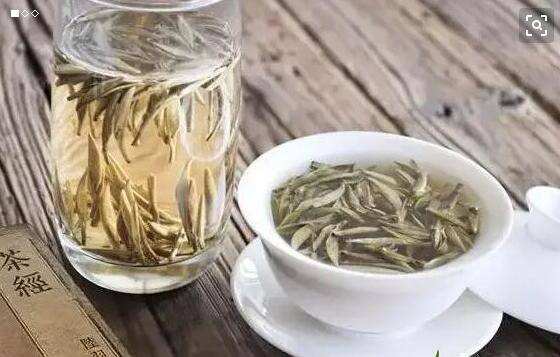 白茶的泡法