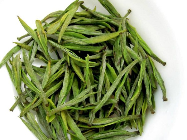 浙江安吉白茶