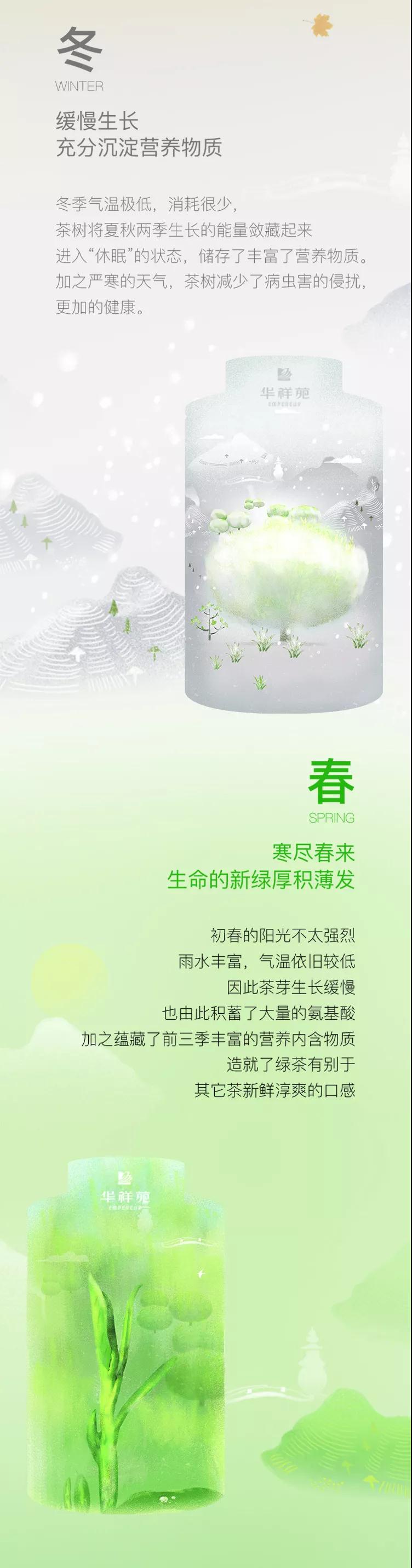 一杯好龙井，从鲜到有内涵都经历了什么？
