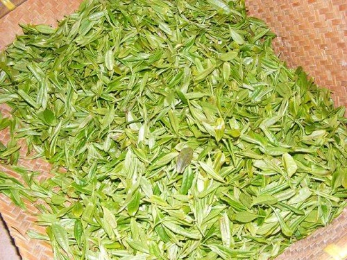 绿茶的种类