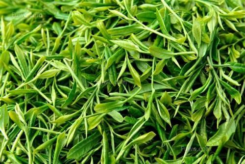 绿茶的保存方法