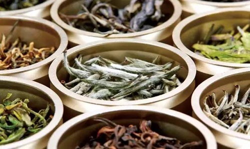 春茶上市