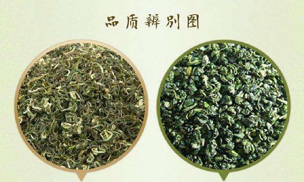 茶叶鉴别方法