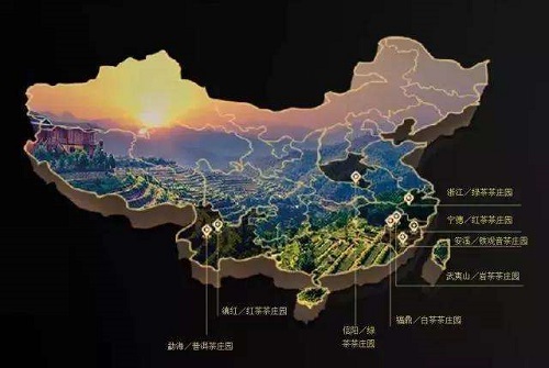 如何经营茶叶店