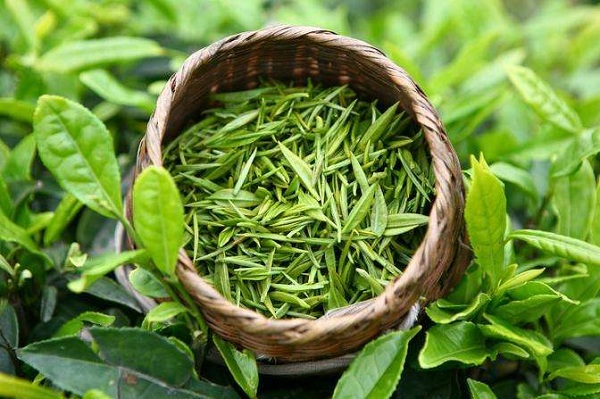 绿茶的功效作用