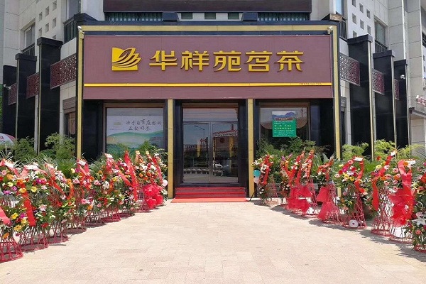 開茶葉店需要多少錢