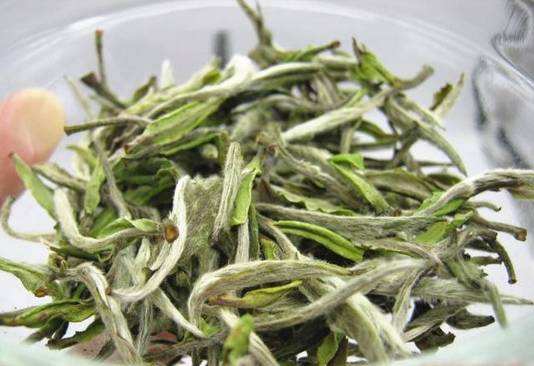 白茶有哪些，你知道如何区分吗？