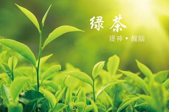 夏天喝什么茶