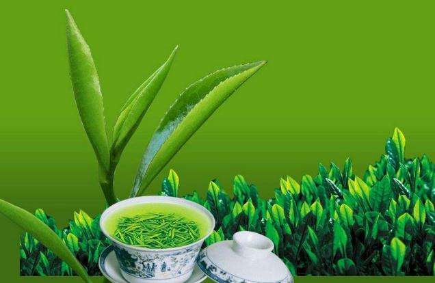 存储绿茶