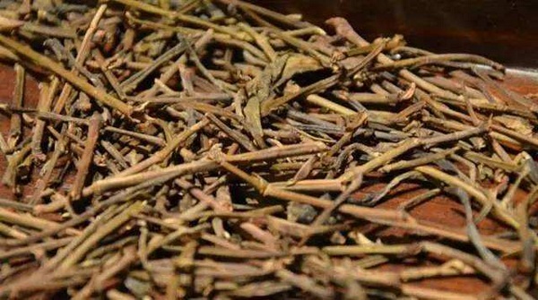 茶梗