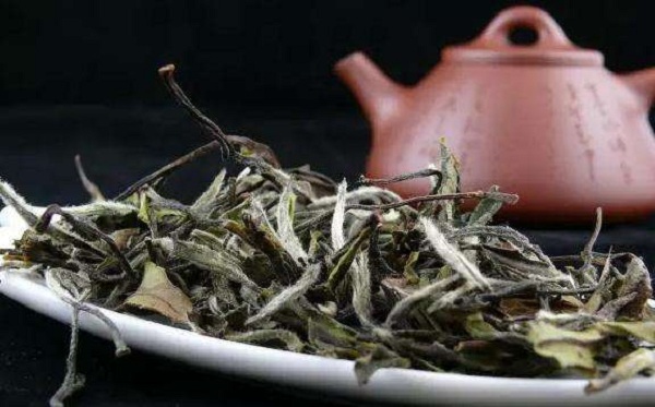 白茶