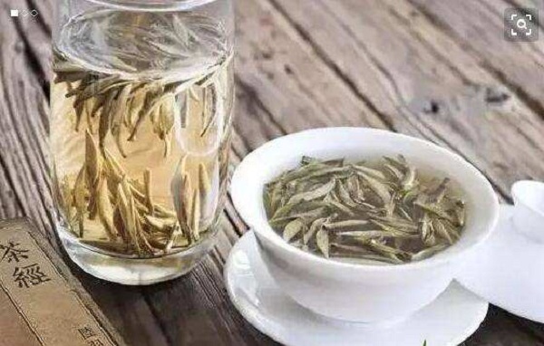 白茶的泡法