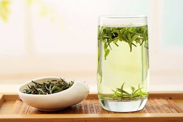 安吉白茶怎么泡