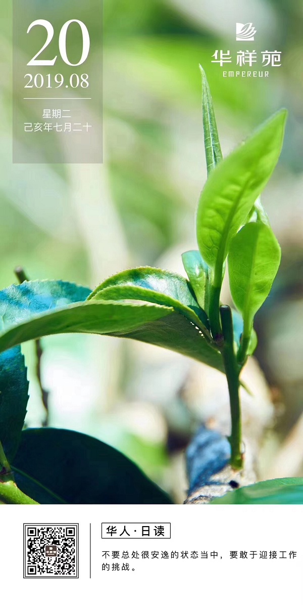 华祥苑茗茶