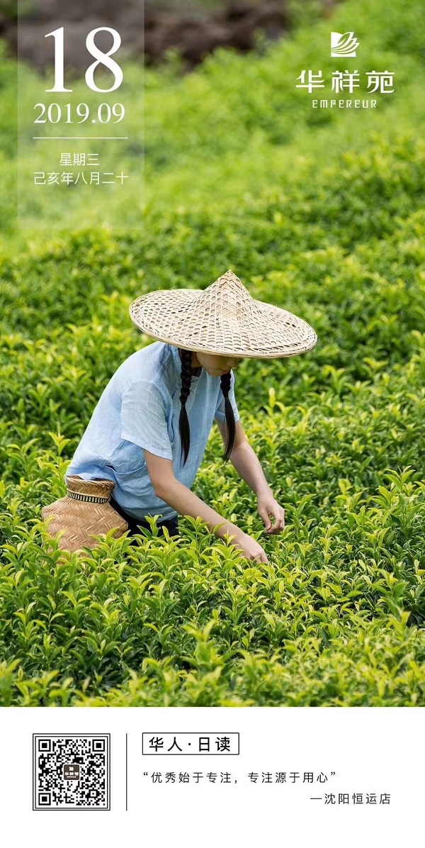 华祥苑茗茶2019.9.18日历