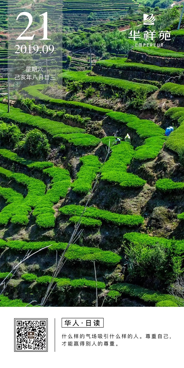 华祥苑茗茶2019.9.21日历