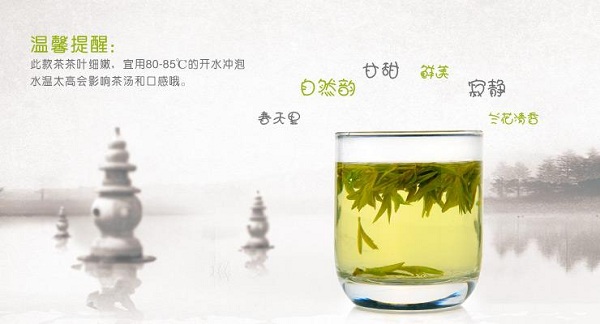 龙井怎么泡