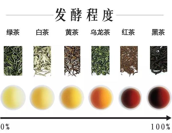 茶的分类