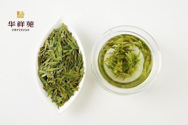 绿茶旧不如新