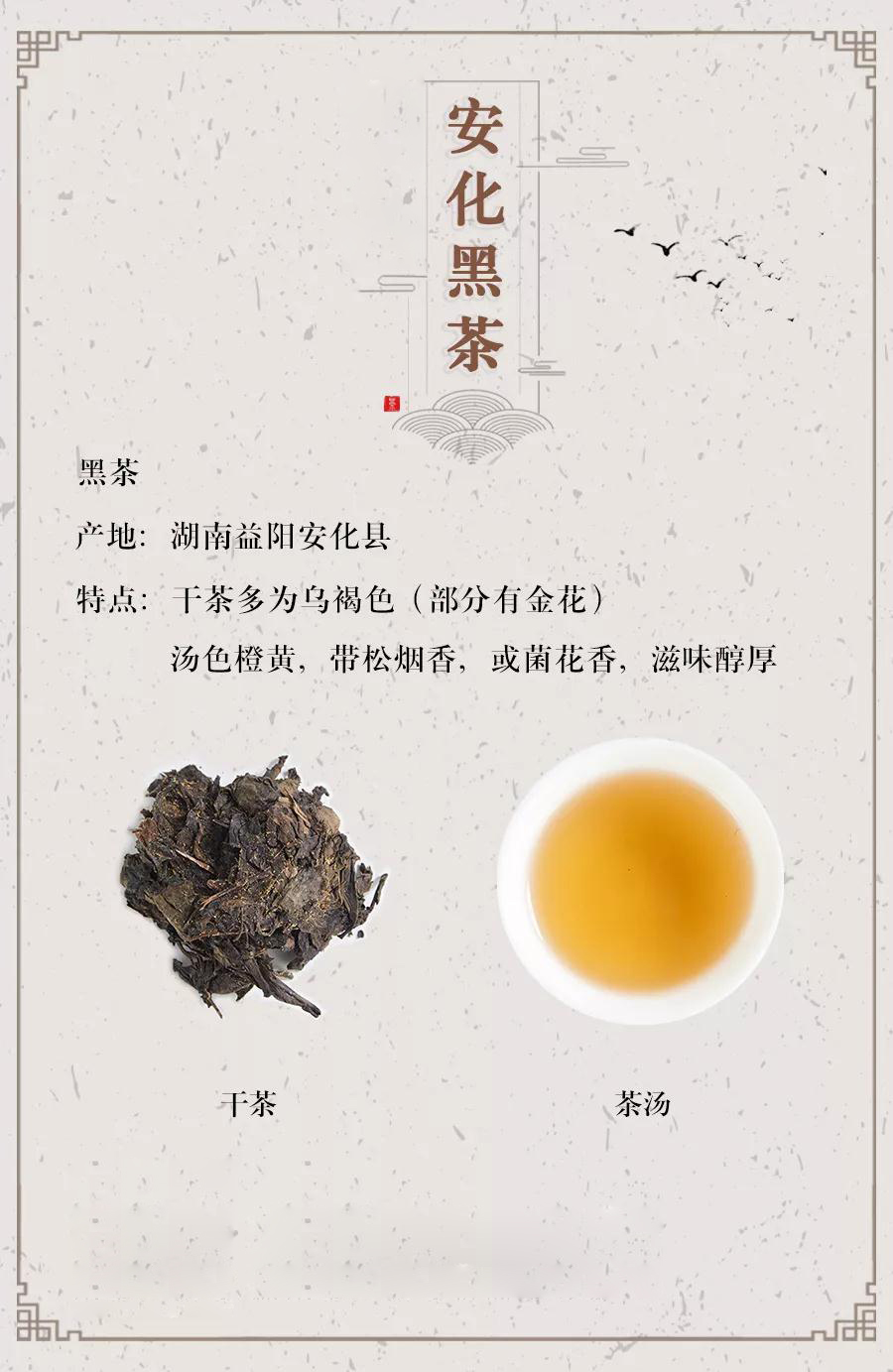 一张图带你喝懂安化黑茶