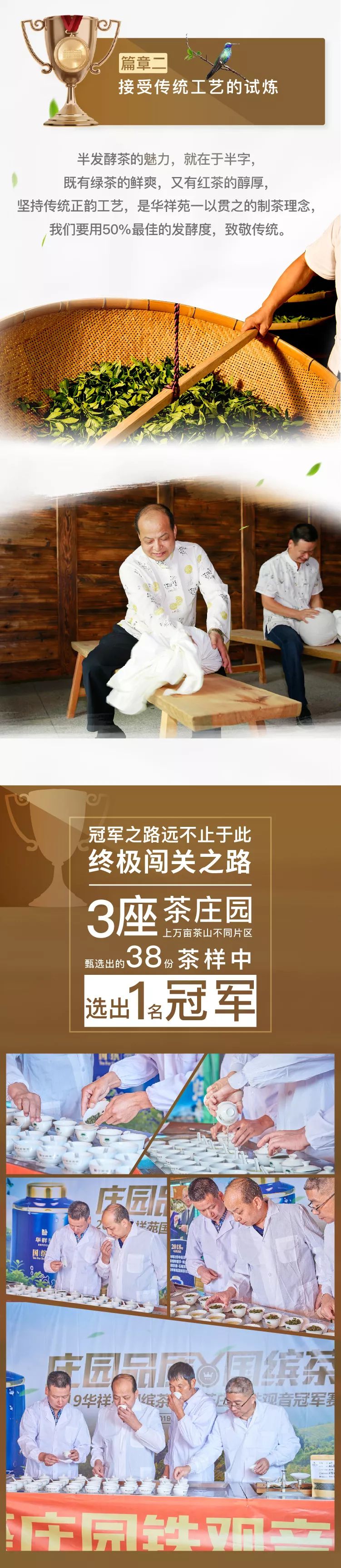 铁观音茶庄园秋茶冠军诞生记