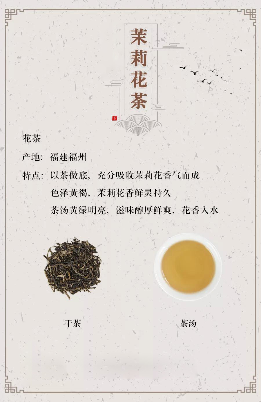 一张图带你喝懂茉莉花茶