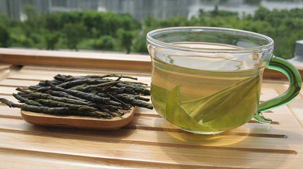 苦丁茶