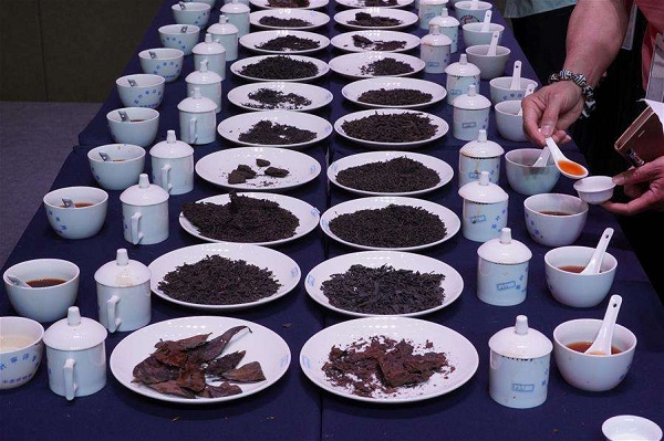 斗茶