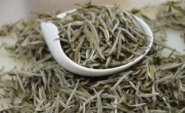 白茶价格