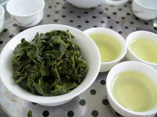 茶最多可以泡几次