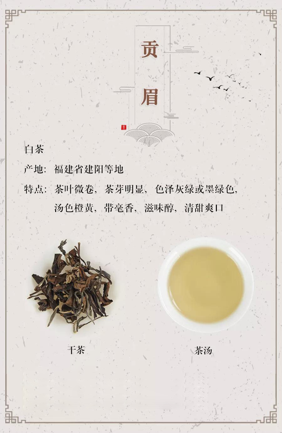 白茶贡眉