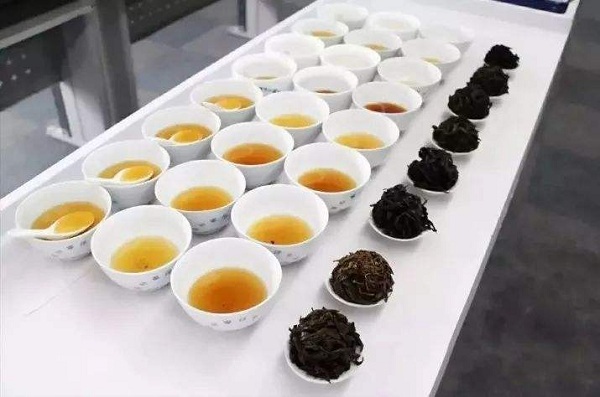 茶叶审评