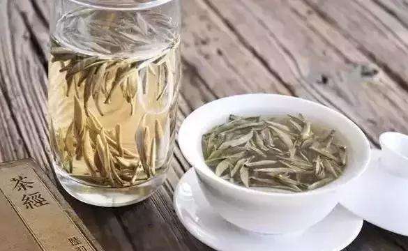 白茶是什么时候出现的?