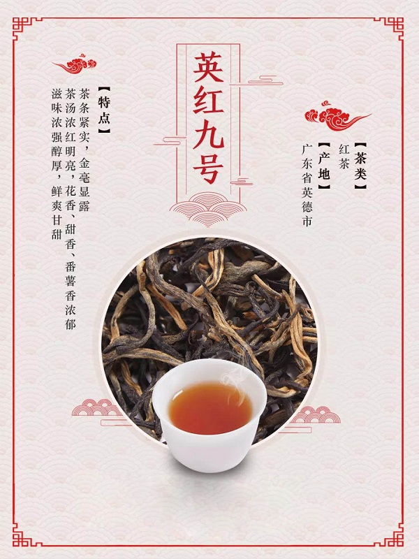 一张图带你喝懂英红九号
