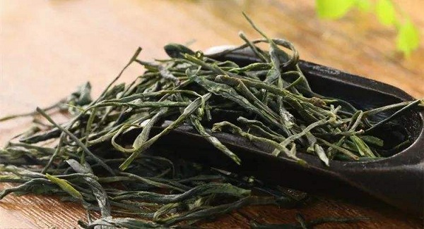 阳羡茶是什么茶？