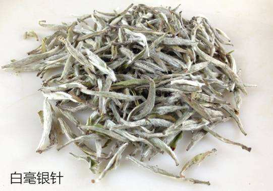 白毫银针
