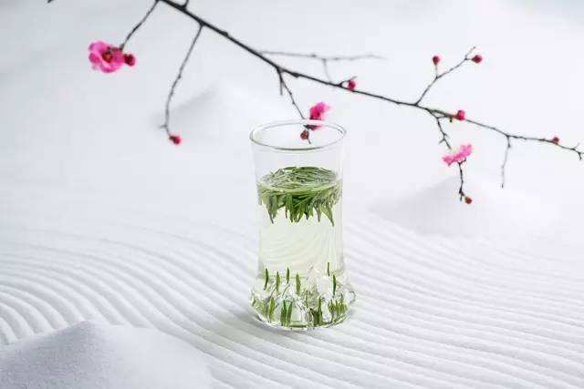 竹叶青绿茶多少钱一斤