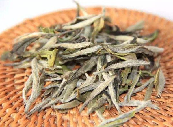 白牡丹白茶多少钱一斤
