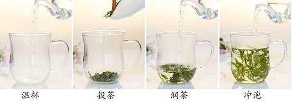绿茶冲泡方法