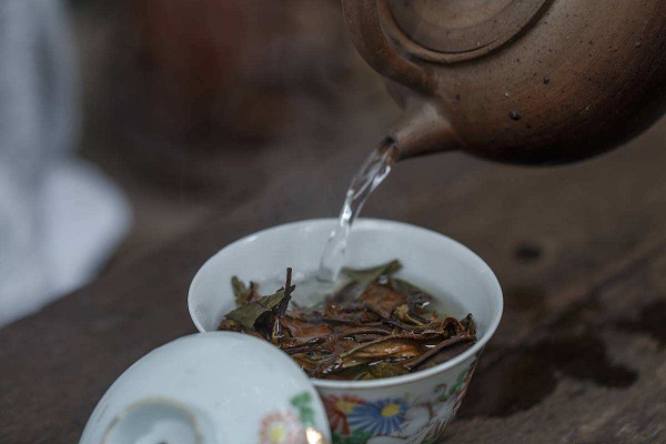 老贡眉属于什么茶？