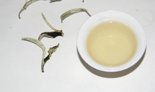 云南大白毫属于什么茶
