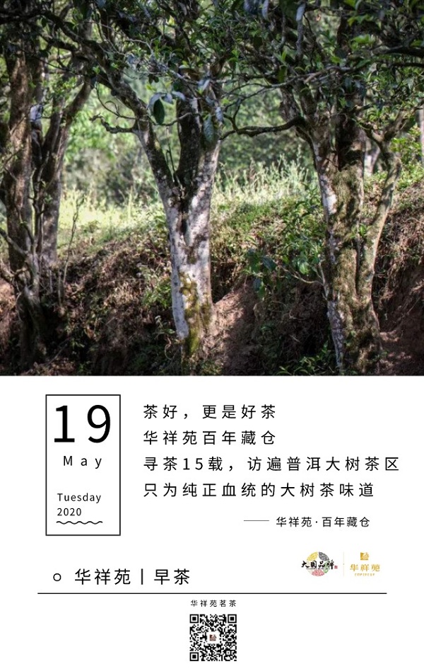 华祥苑茗茶2020年5月19日早茶：华祥苑·百年藏仓