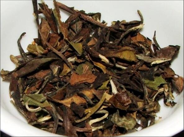寿眉是什么茶种？
