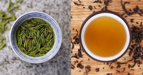 红茶和绿茶的区别